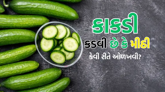 cucumber | cucumber benefits | how to choose sweet cucumber | cucumber buying tips | cucumber buying tricks | kadwa kheera pahchanne ke upay
