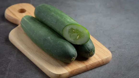 cucumber | cucumber benefits | how to choose sweet cucumber | cucumber buying tips | cucumber buying tricks | kadwa kheera pahchanne ke upay