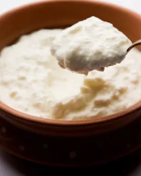 curd making tips