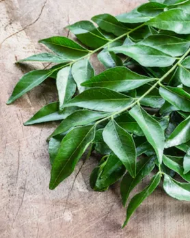 curry leaves improve eyesight tips