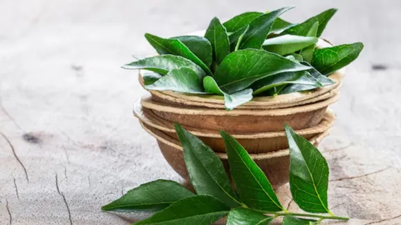 how curry leaves improves eyesight