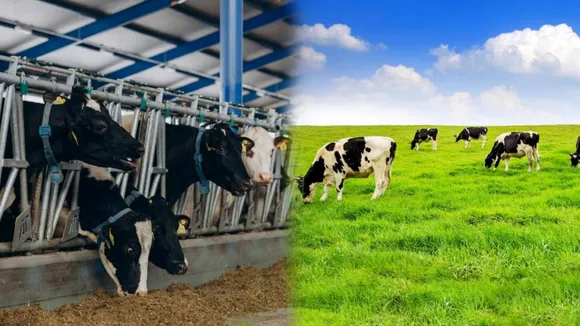 Success Story, how to become successfull , સફળતાની વાર્તા