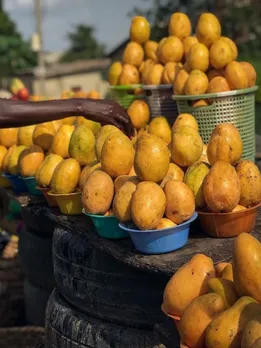 Chemicals Ripened Mango side effects, કાચી કેરીની ઓળખ, પાકી કેરીની ઓળખ