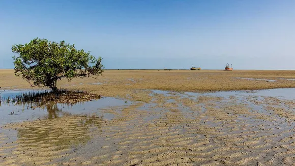 pirotan island | pirotan tapu | pirotan tapu location | island of Gujarat | gujarat tourism | gujarat beaches name | gujarat sea length | pirotan island photo | પિરોટન ટાપુ