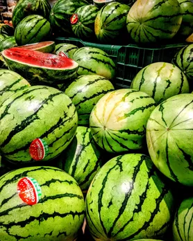 watermelon