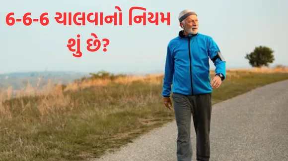 6-6-6 walking rule benefits