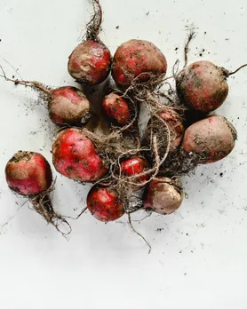 Beetroot hair color tips