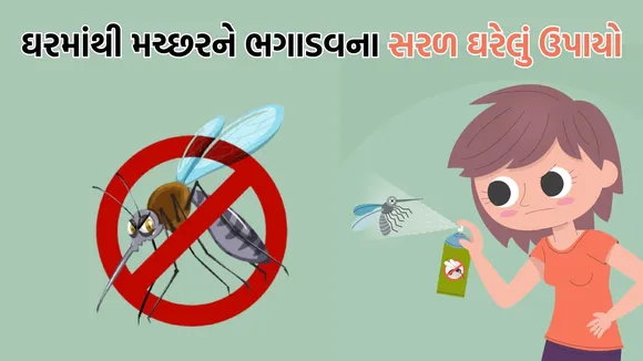 Best Home Remedies for Dengue Mosquitoes, Dengue symptoms,