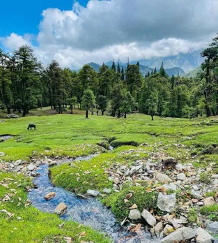 chopta hill station | chopta hils | chopta