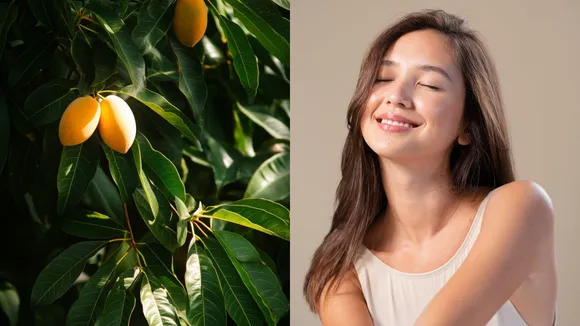 Mango leaf face pack for youthful skin