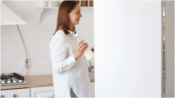 fridge care tips in summer