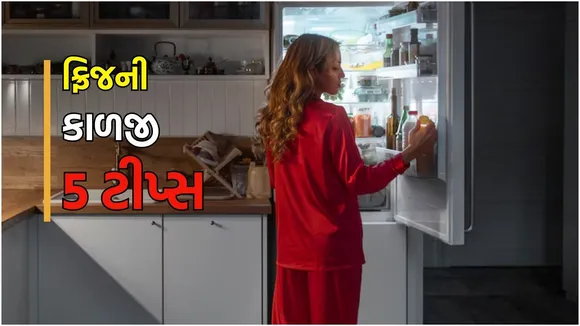fridge care tips in summer
