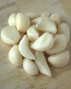 garlic