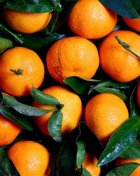 orange benefits in summer