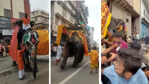 Ahmedabad Rath Yatra elephant uncontrolled | Rath Yatra elephant uncontrolled In Ahmedabad