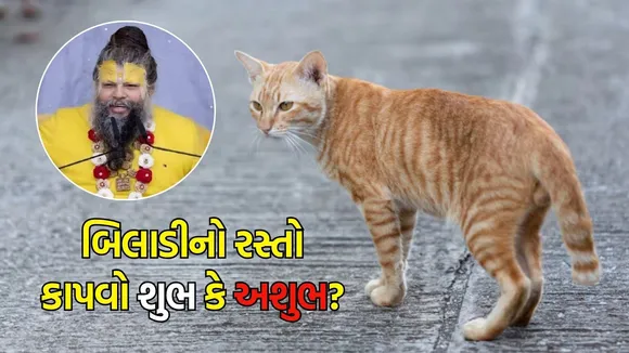 Premanand Maharaj on Cat Crossing Road Good Or Bad Luck