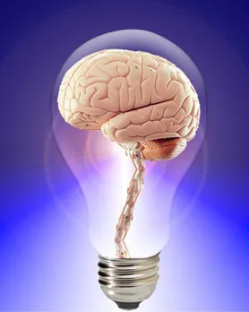 Matcha tea for brain