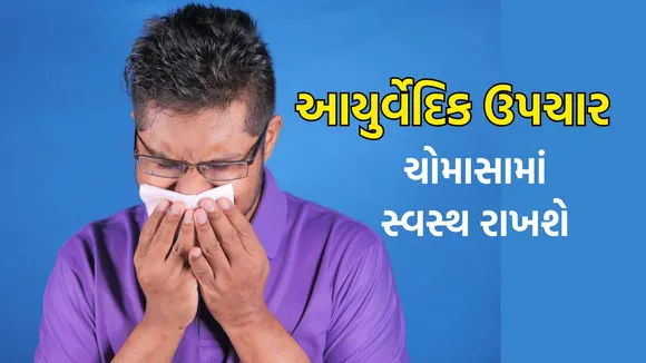 ayurvedic herbs for monsoon | ayurvedic medicine for monsoon | Monsoon Health Tips