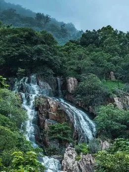 Polo forest | Polo forest ticket price | Polo forest Ahmedabad | Polo Forest distance | Polo Forest photos | Polo Forest Resort | Ahmedabad to Polo Forest distance | Polo forest timings| Polo forest vijaynagar