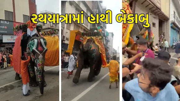 અમદાવાદ રથયાત્રામાં હાથી બેકાબૂ કેમ થયા? ઝૂ સુપ્રિન્ટેન્ડેન્ટે જણાવ્યા કારણ