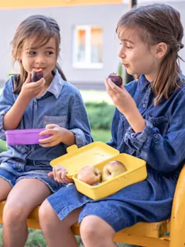 school lunch box | kid lunch box recipe | kids lunch boxes ideas | healthy school lunch ideas