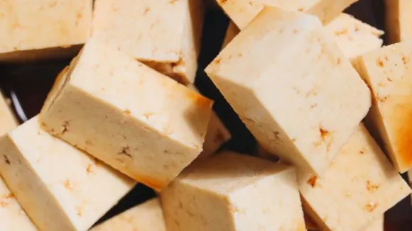 Vegetarian Protein Foods