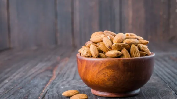 Vegetarian Protein Foods