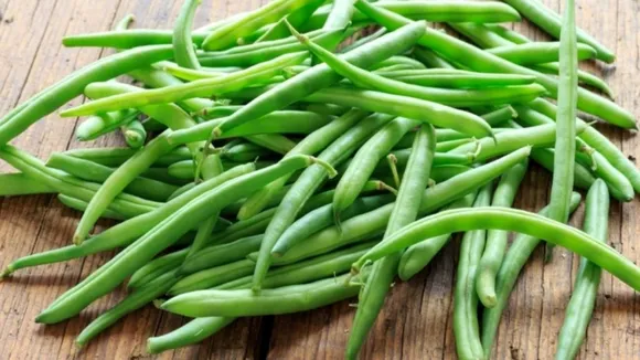 Vegetarian Protein Foods