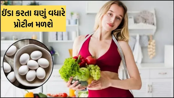 Vegetarian Protein Foods