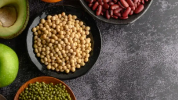 Vegetarian Protein Foods