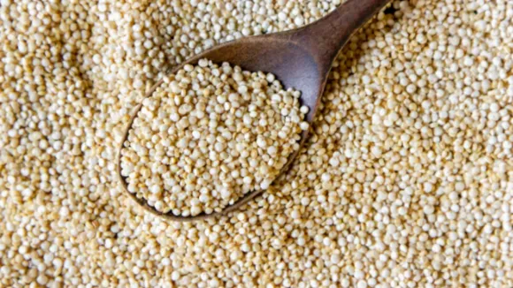 Vegetarian Protein Foods