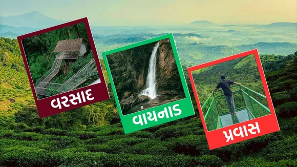 Wayanad trip | monsoon trip | kerala trip | kerala tourism | kerala tourist places