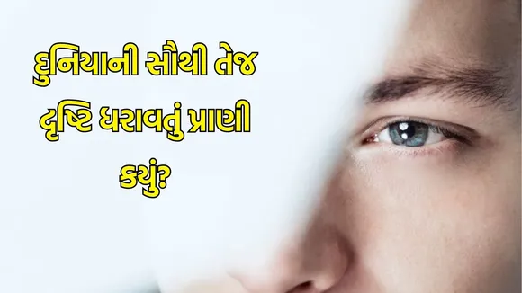 animals with sharp vision in the world