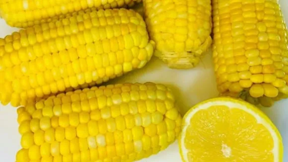 boiled corn, મકાઇનો ડોડો