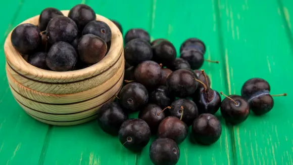 foods to avoid with java plum, health news, જાંબુ, jamun