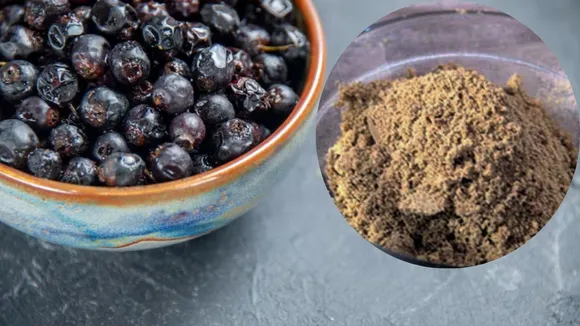 jamun seeds powder benefits |
