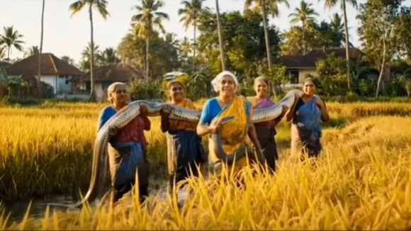 python caught women, Viral AI Video