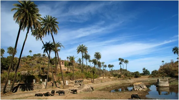 best travel destination in rajasthan