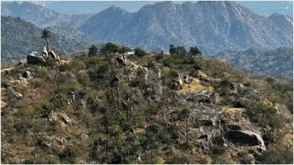 best travel destination in rajasthan