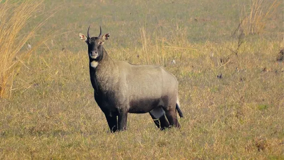 rajsthan travel destination