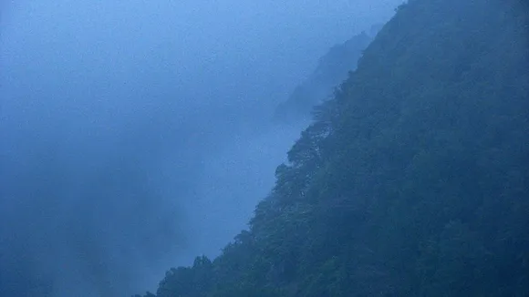 Snake Capital of India, Agumbe