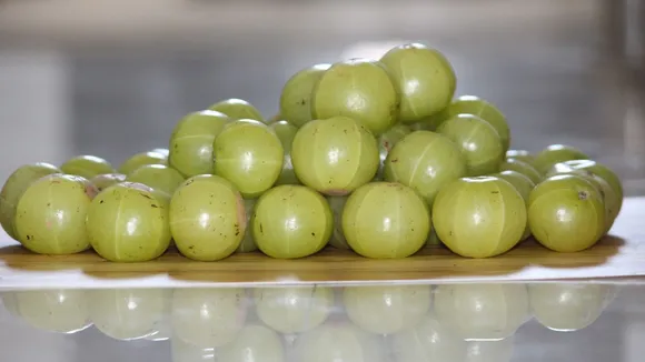 Amla benefits for hair and skin