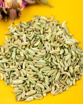 Fennel seeds for women health | વરિયાળી ખાવાના ફાયદા