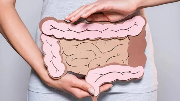 Gut, આંતરડું, હેલ્થ ટિપ્સ