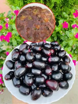 Jamun Paratha Recipe in Gujarati