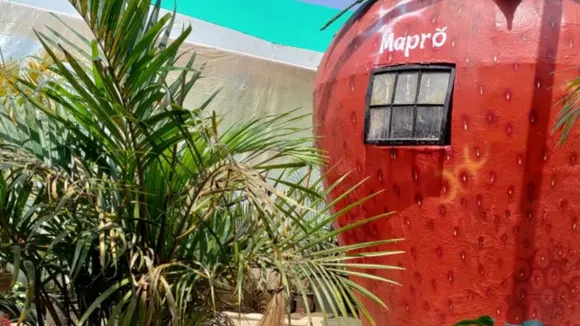 મેપ્રો ગાર્ડન