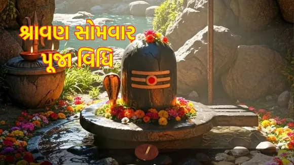 Shravan 2025 : શ્રાવણમાં શિવજીને અર્પણ કરો આ 8 ચીજ, ભગવાન શંકર પ્રસન્ન થશે, ધન સંપત્તિ અને સમૃદ્ધિ પ્રાપ્ત થશે