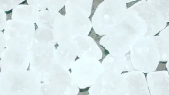 Health News Gujarati