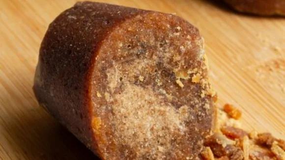 Health News Gujarati