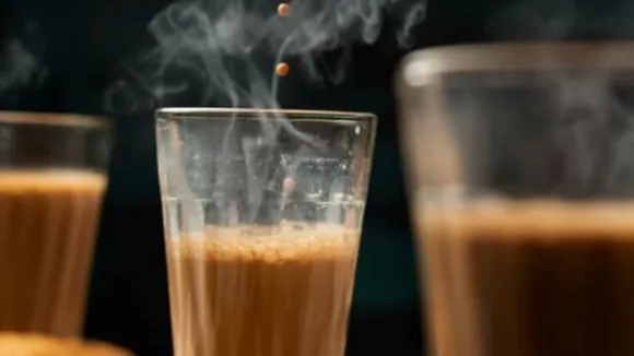 Tea, ચા, હેલ્થ ન્યૂઝ